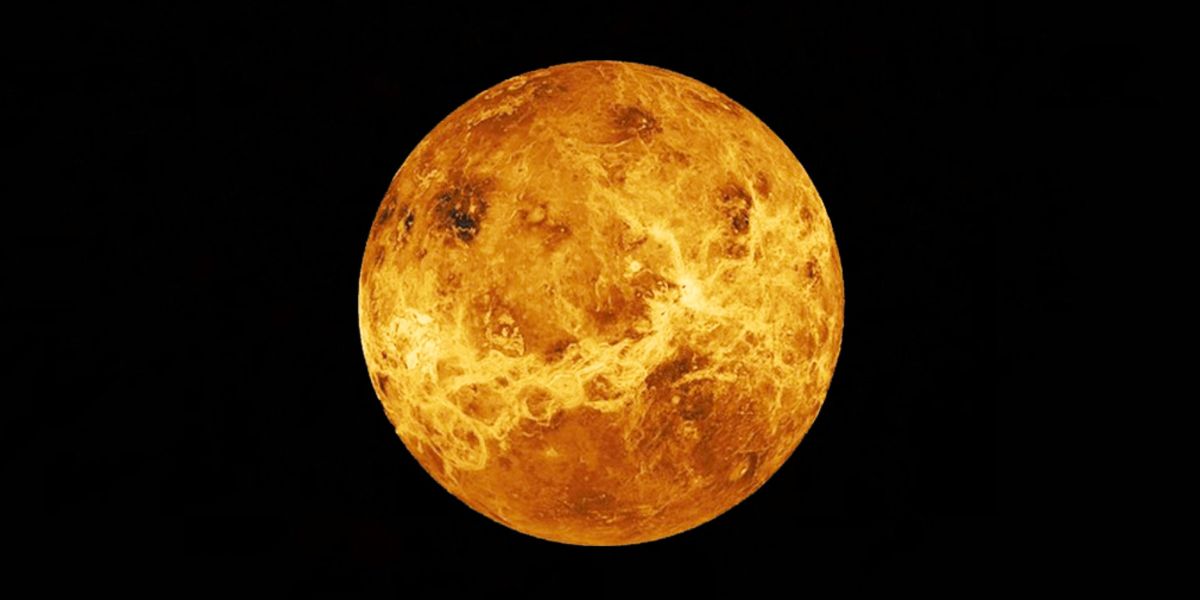 Venus en las casas de la Revolución Solar