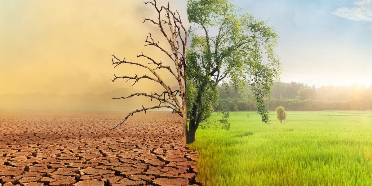 Tránsitos de los planetas transpersonales sobre el Sol natal